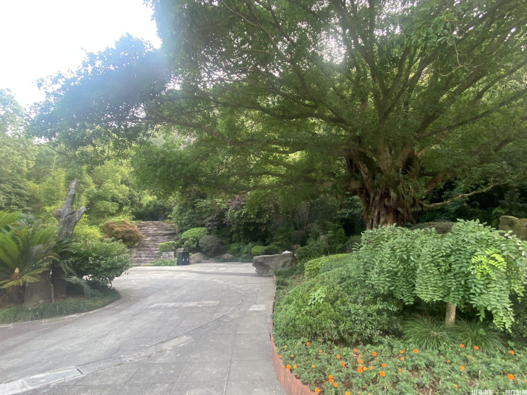 台州白云山：天然的影视外景胜地(图5)