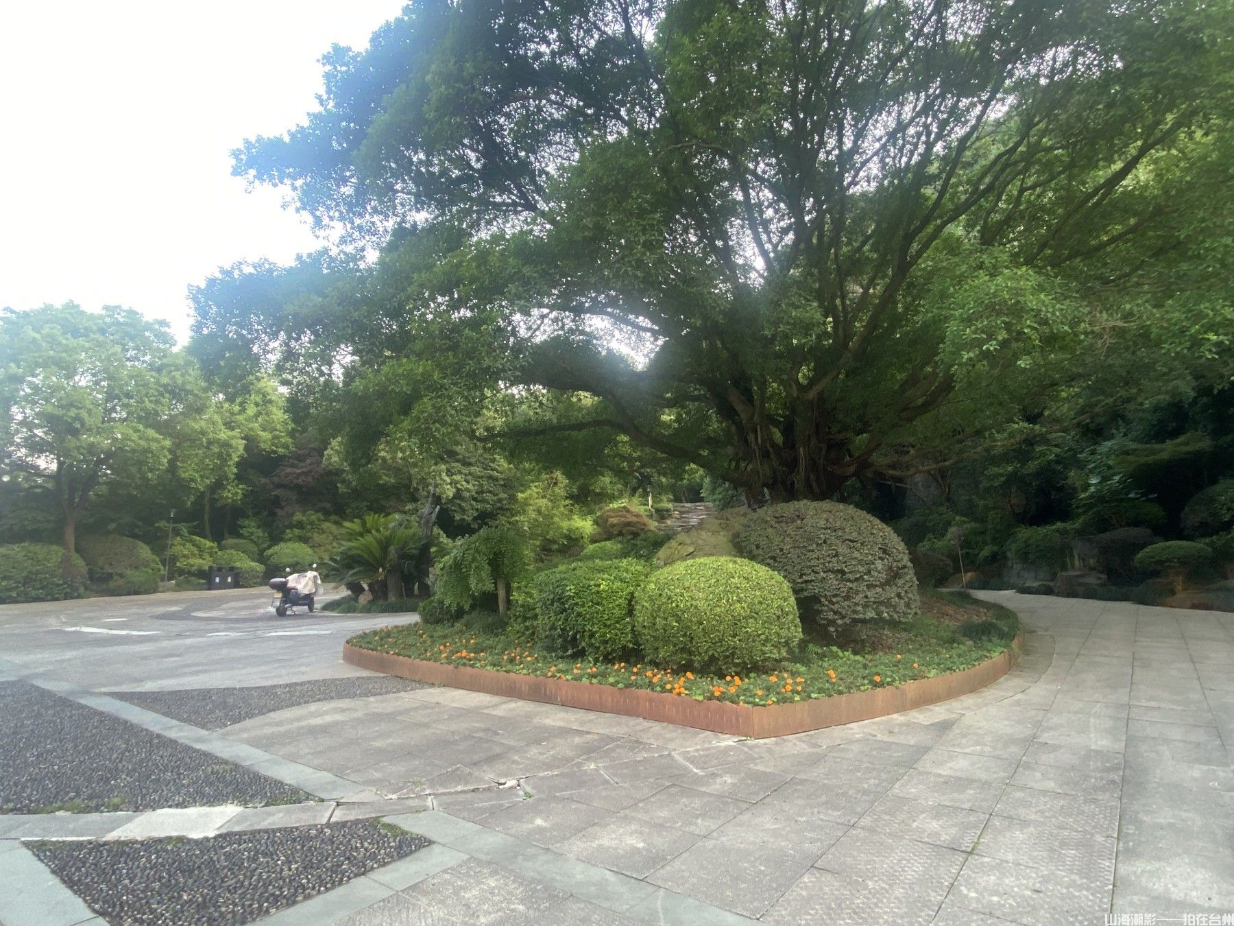 台州白云山：天然的影视外景胜地(图4)