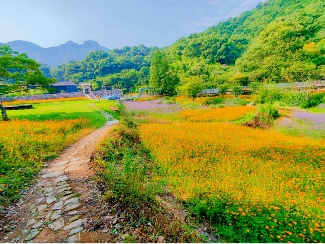 桐屿深处藏古道，凉溪幽径入镜来：台州影视外景新视界(图1)