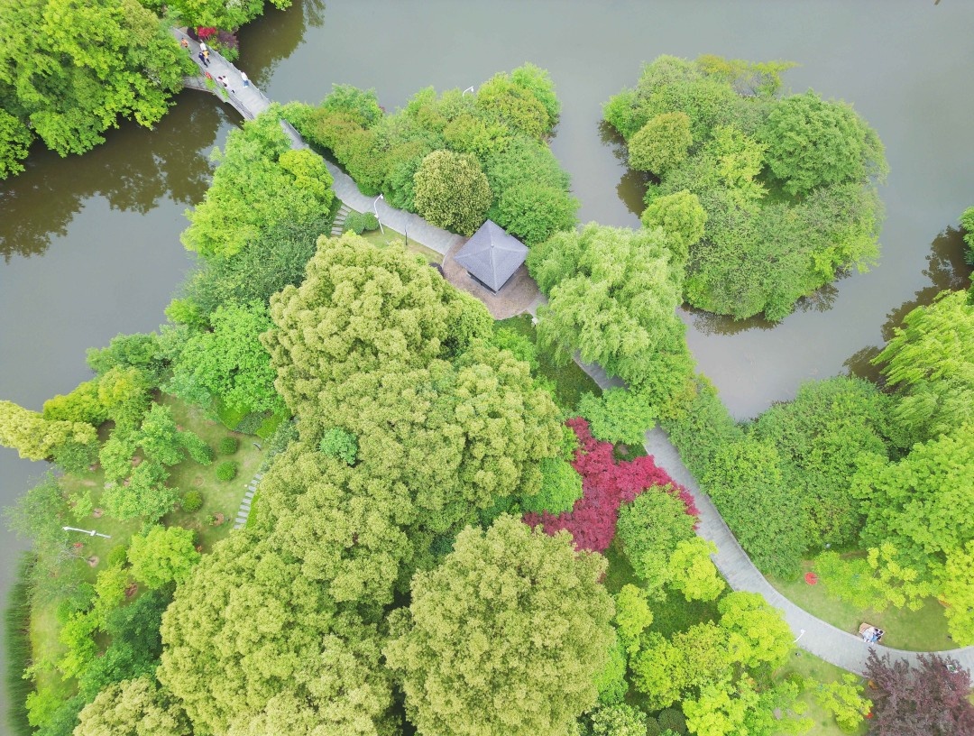 都市绿肺 光影画卷——路桥中央山公园一期影视外景地探秘(图1)