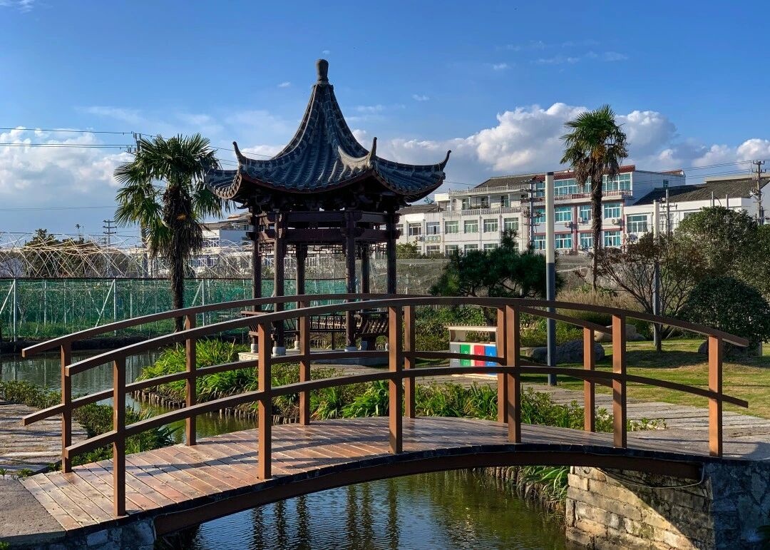 台州路桥·蓬街小伍份：枕水而居的隐逸美学影视取景地(图5)