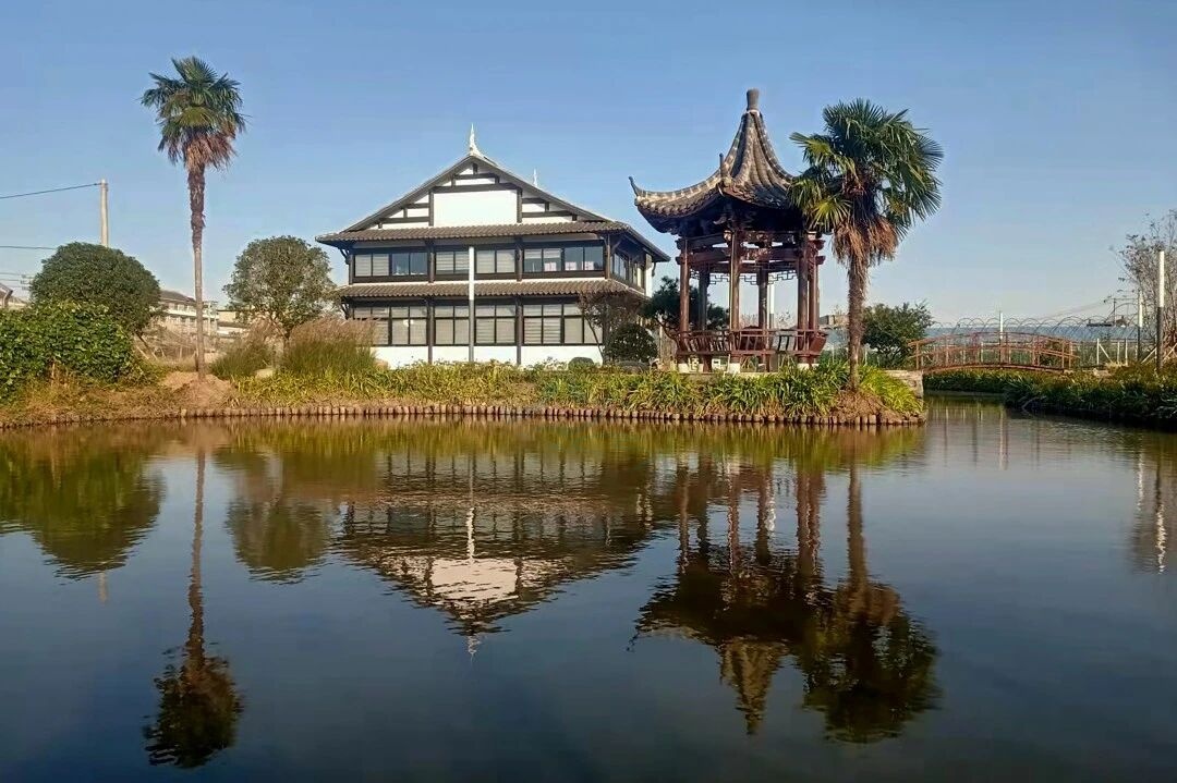 台州路桥·蓬街小伍份：枕水而居的隐逸美学影视取景地(图8)