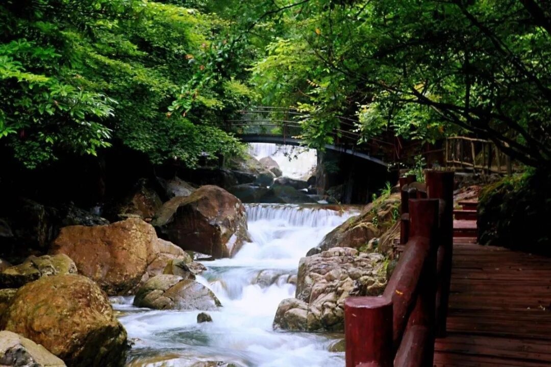 天台牧云谷：原始峡谷、云海茶园与古朴村落交织的创作舞台(图4)