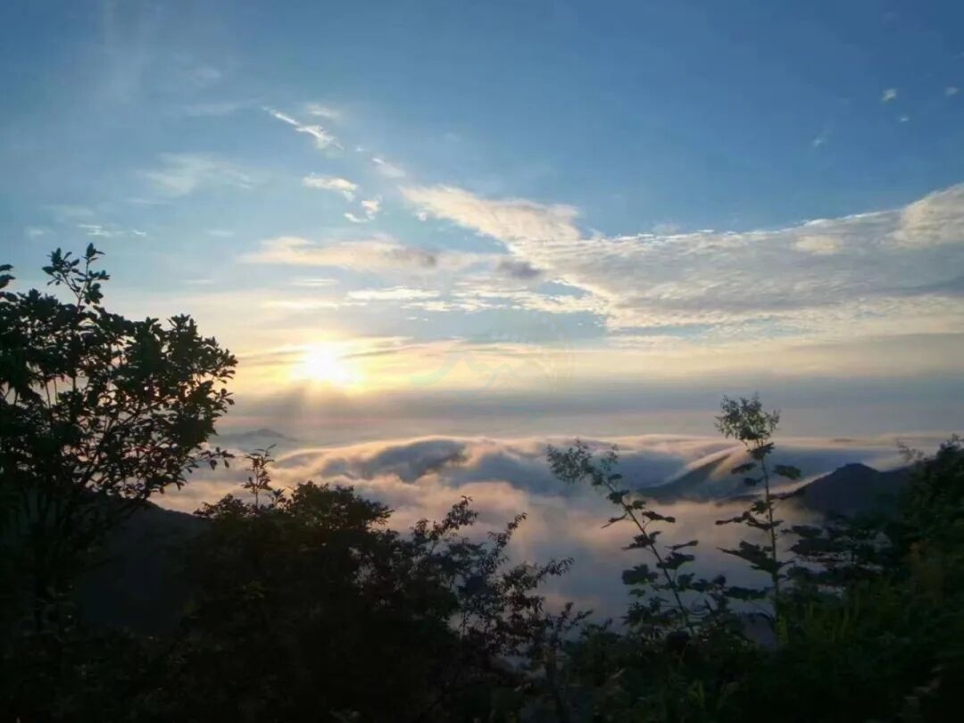 天台牧云谷：原始峡谷、云海茶园与古朴村落交织的创作舞台(图6)