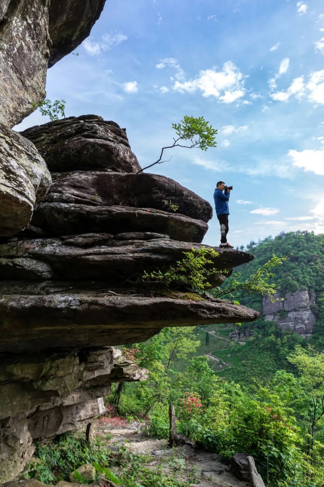天台牧云谷：原始峡谷、云海茶园与古朴村落交织的创作舞台(图10)