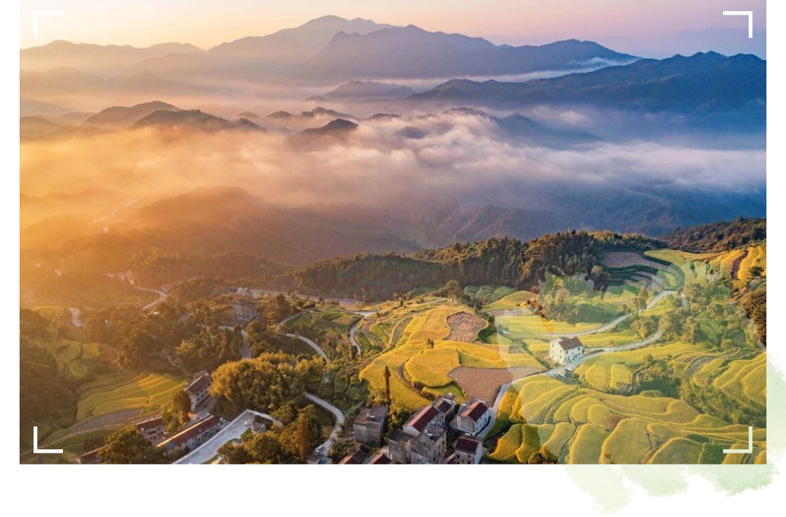 天台南屏莲花梯田：层叠绿浪里的农耕诗画 (图1)