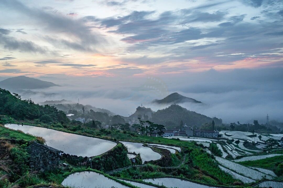 天台南屏莲花梯田：层叠绿浪里的农耕诗画 (图3)