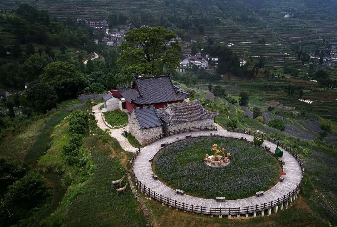 天台南屏莲花梯田：层叠绿浪里的农耕诗画 (图4)