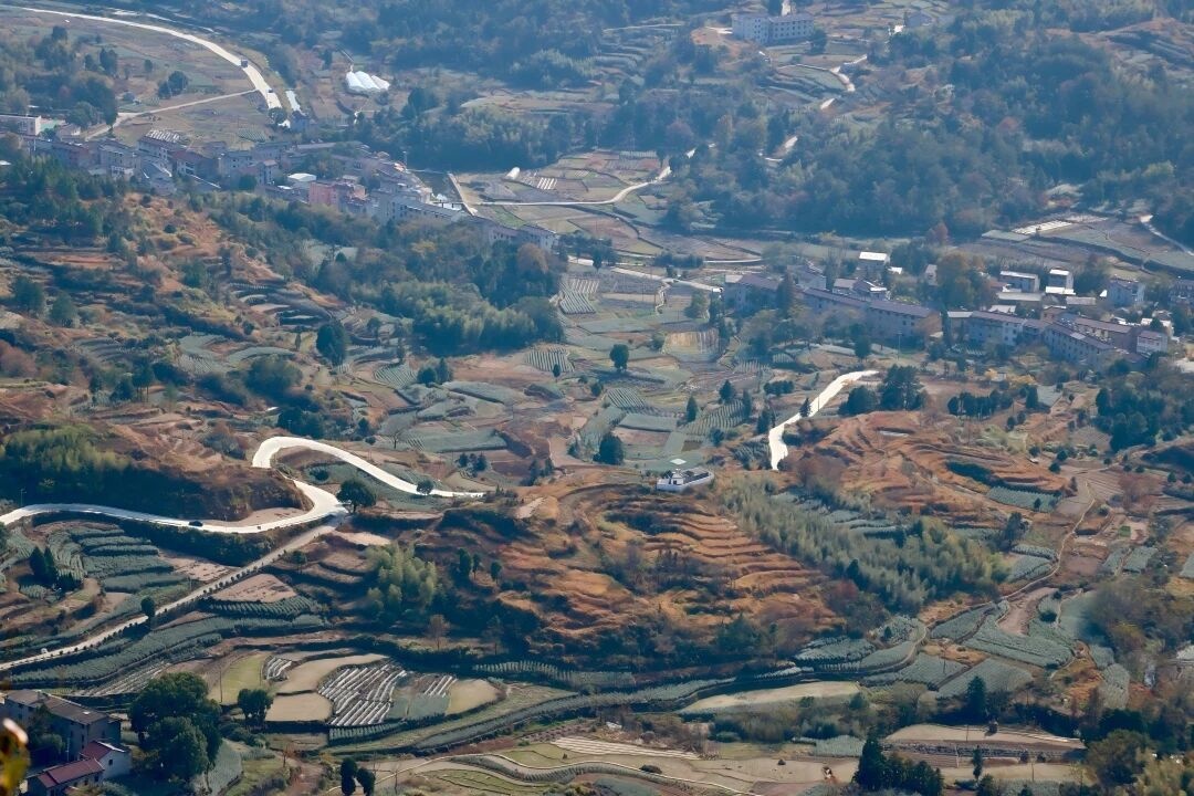 天台南屏莲花梯田：层叠绿浪里的农耕诗画 (图5)