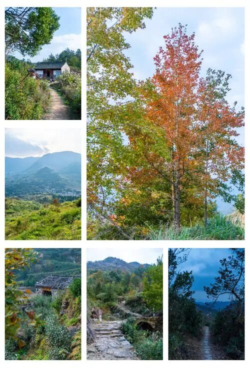 天台南黄古道：千年商贸道上的枫火传奇 —— 浙东 “活态历史长廊”，影视镜头里的 “行旅名场面制造机”(图1)