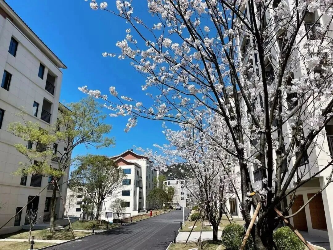 温岭喜樾山：方山脚下的“生活感影视场景矩阵” ——从仙侠山林到都市度假，每一寸空间都藏着“可拍的生活”(图4)
