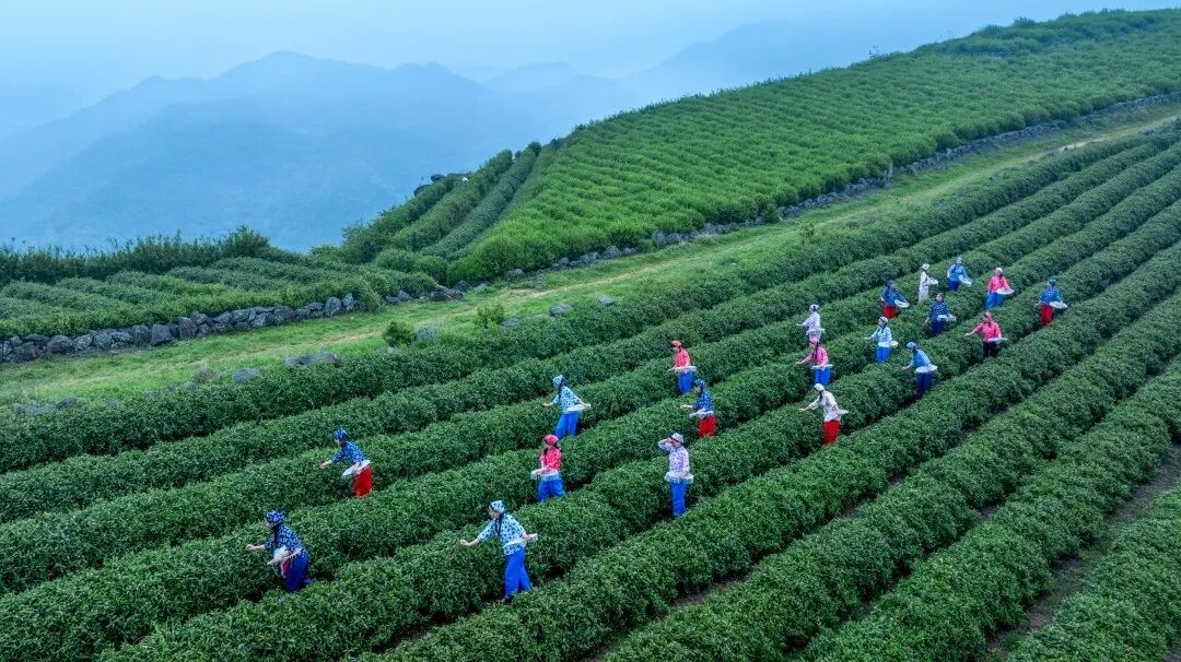 临海涌泉兰田景区：“台州香格里拉” 的影视双价值场景库(图8)