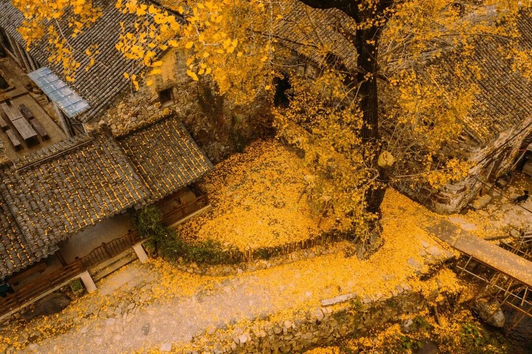 临海小芝胜坑古村：八百年石屋群落里的影视叙事密码(图4)