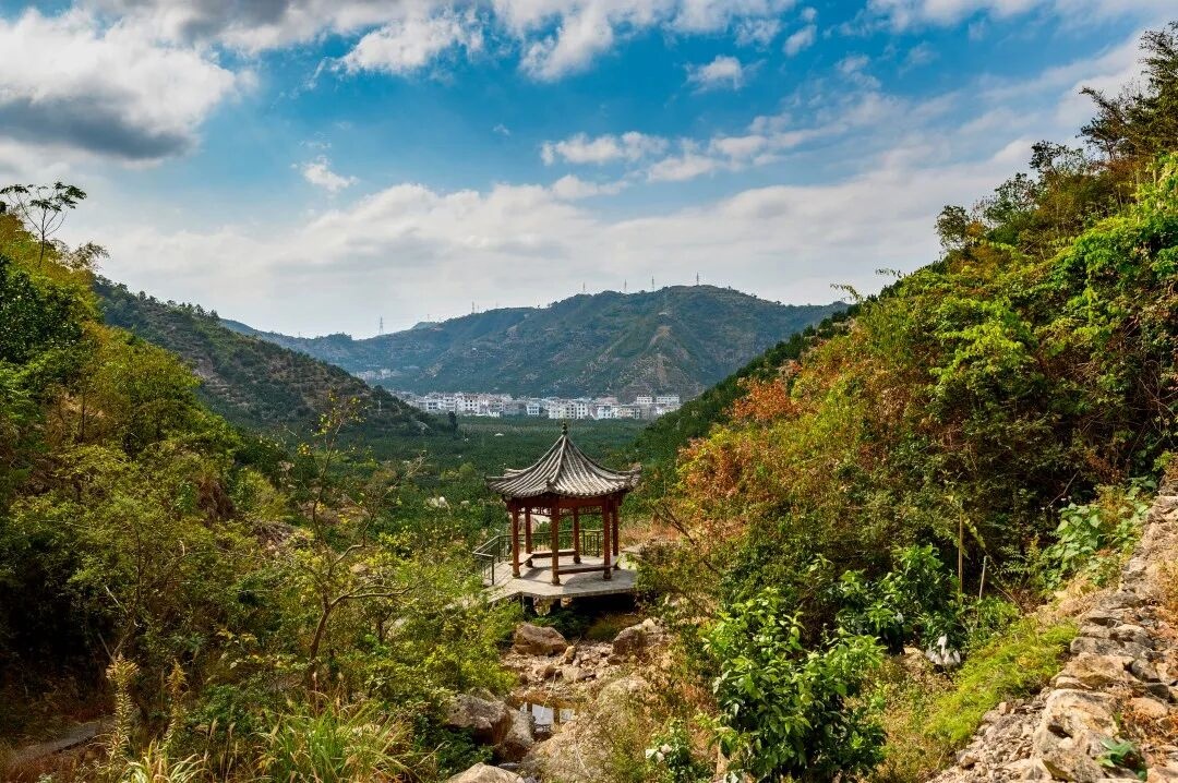 影视取景地推荐｜玉环垟根村：漫山文旦的田园治愈场(图4)