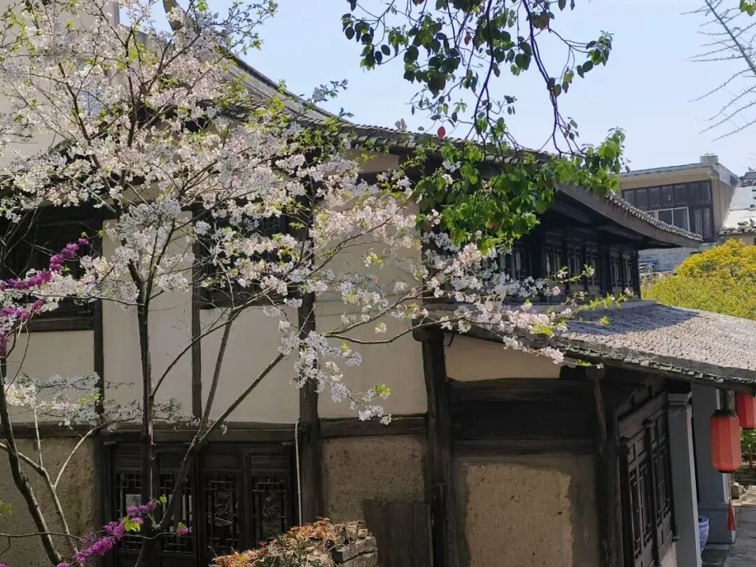 温岭箬横白峰山：云岚叠嶂间的“山海光影片场”(图5)