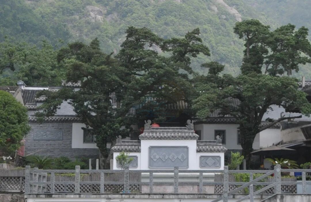 温岭温峤峨嵋山村：民宿集群×山水肌理，解锁田园治愈系影视外景新范式(图3)