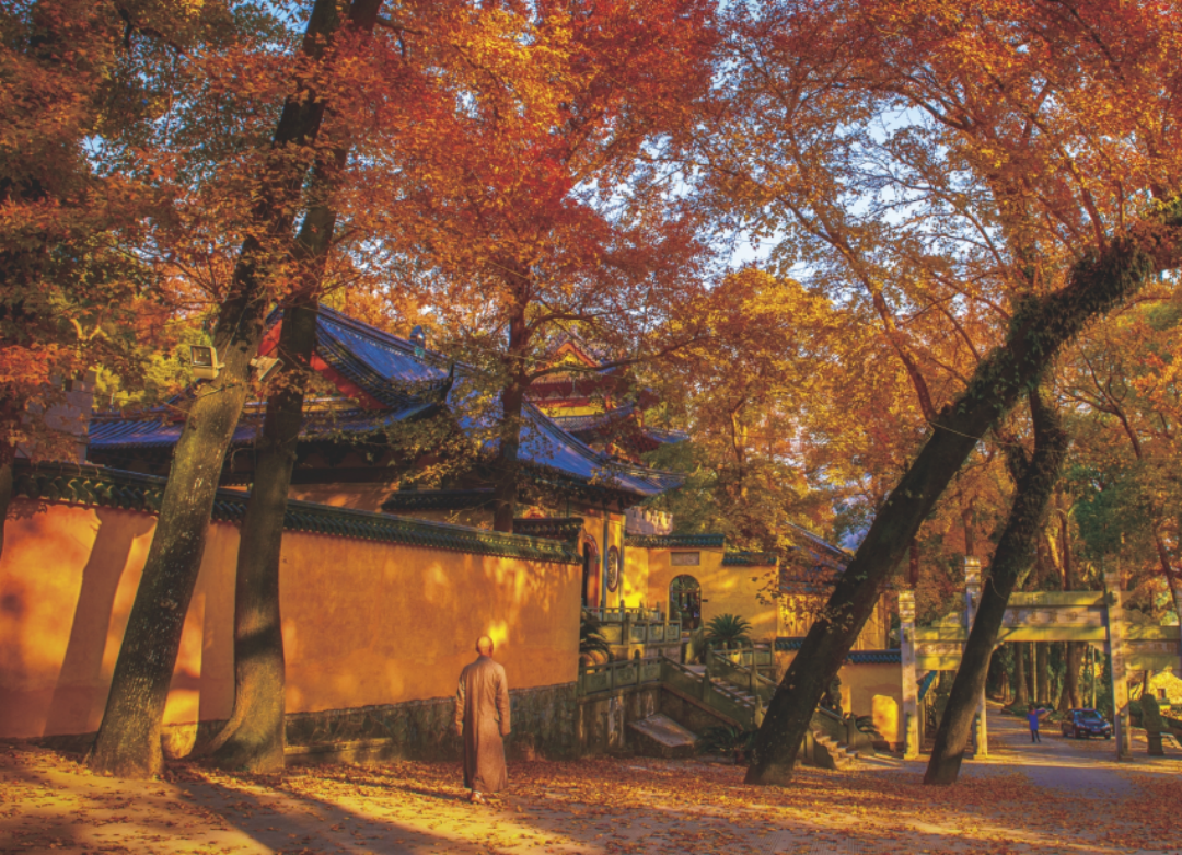 温岭温峤小明因讲寺：宋韵古建与禅意生态交织的“影视诗性场”(图2)