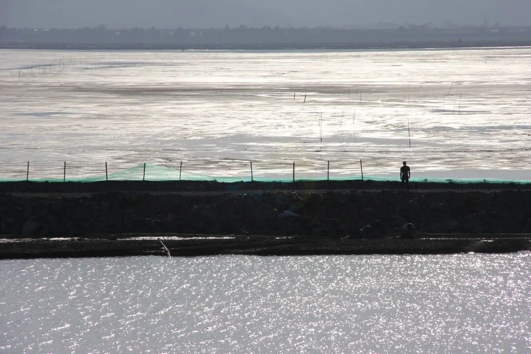 温岭城南犁头咀渔港：潮声浪影中的“海洋光影片场”(图3)
