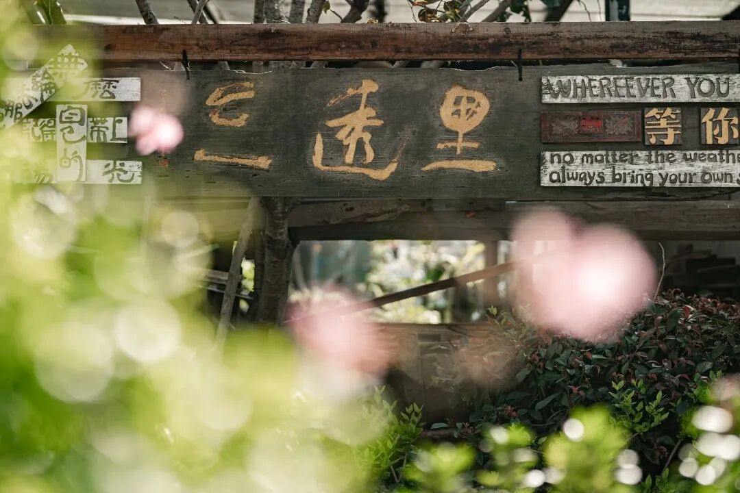 温岭石桥头三透里文创园：古建活化与文创烟火交织的“影视时光机”(图5)