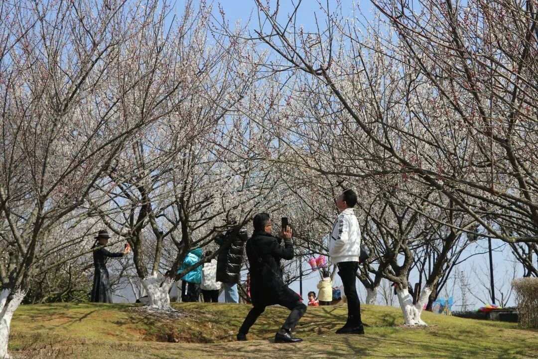 温岭石桥头温岭市植物园:山水褶皱里的“生态影视叙事场”(图7) 温岭石桥头温岭市植物园:山水褶皱里的“生态影视叙事场”(图7)