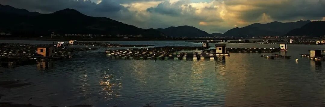 温岭坞根东门头村：蓝海褶皱里的“渔火影视叙事场”(图4)