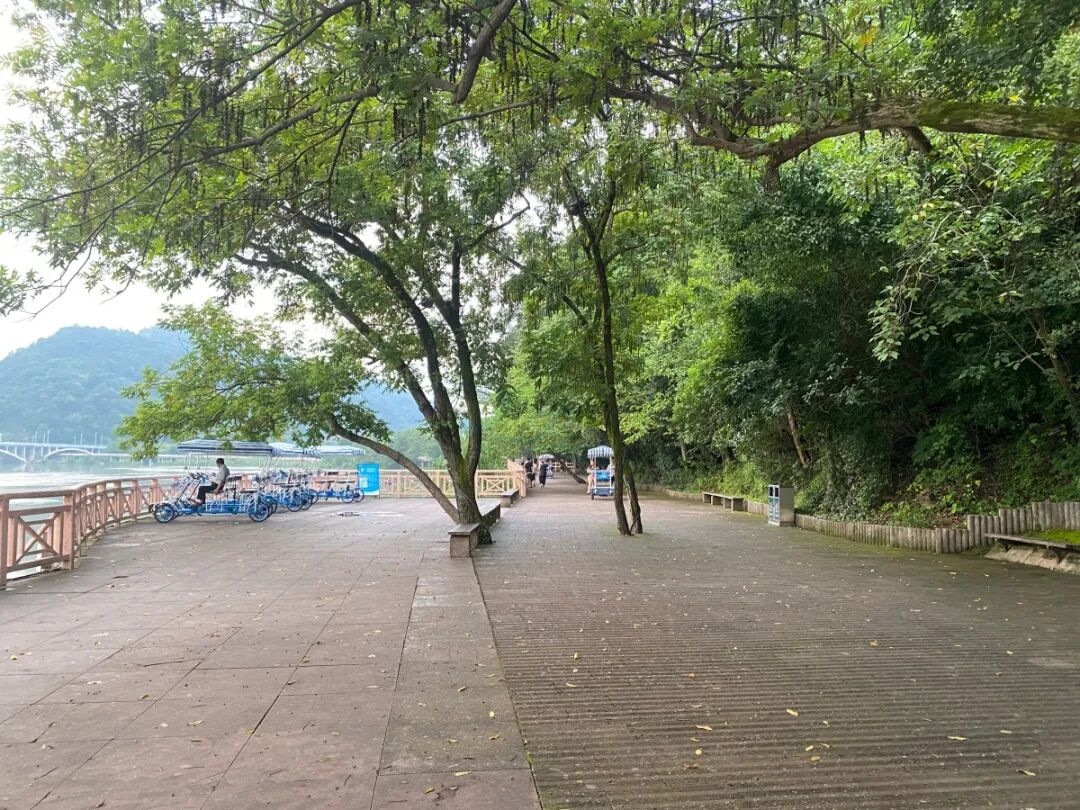 仙居绿道：山水间的“流动影视长卷”(图3)