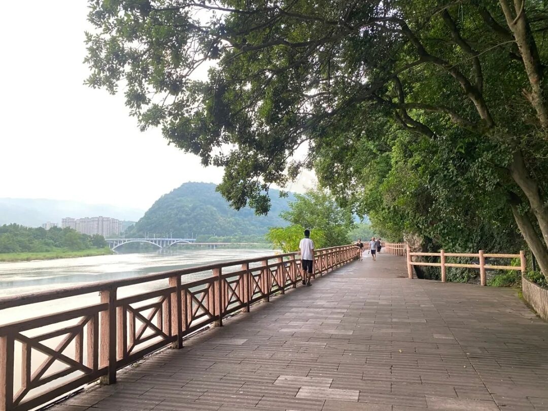 仙居绿道：山水间的“流动影视长卷”(图7)