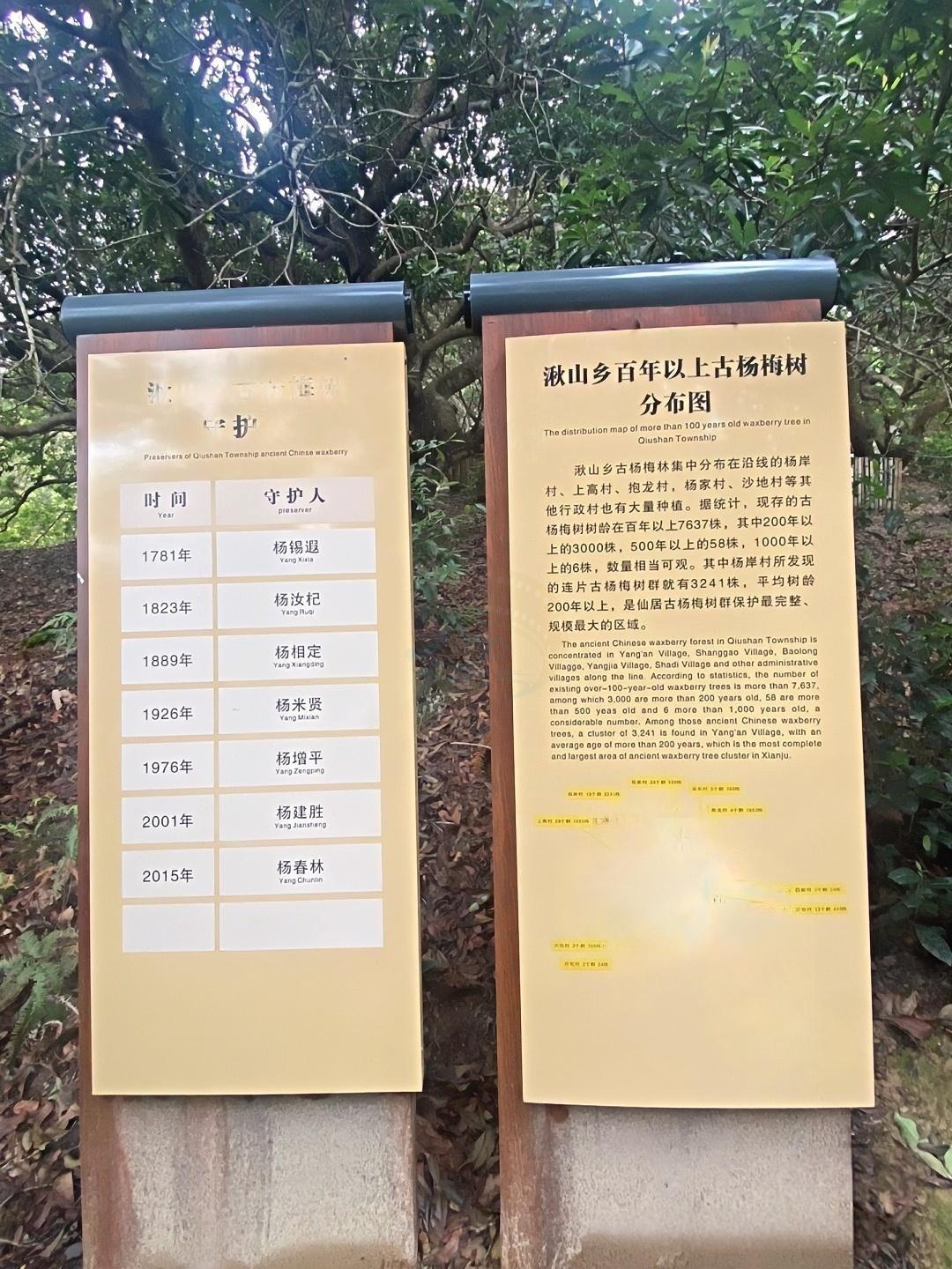 仙居杨岸村古梅酒窑：百年酒窖里的“时光酿酒场”(图3)