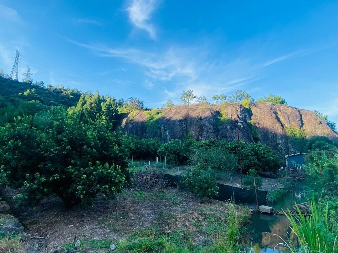 仙居下各镇隐仙寺：古寺禅影里的 “叙事结界”(图3)