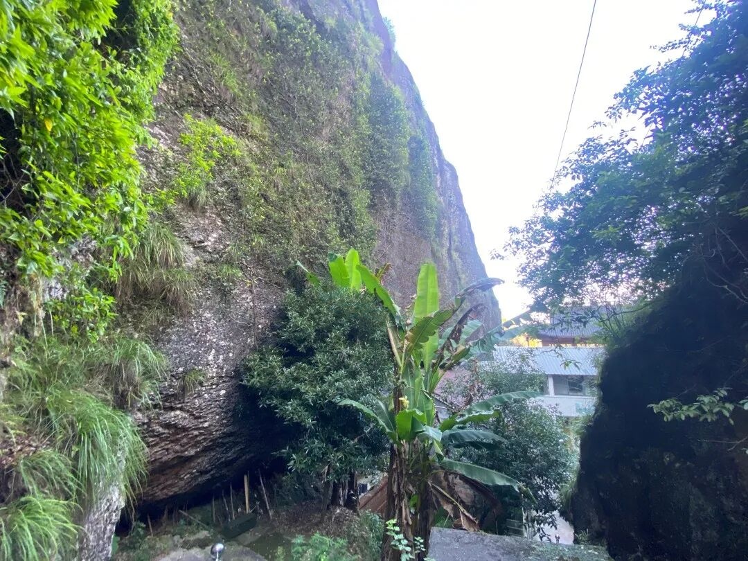 仙居下各镇隐仙寺：古寺禅影里的 “叙事结界”(图9)