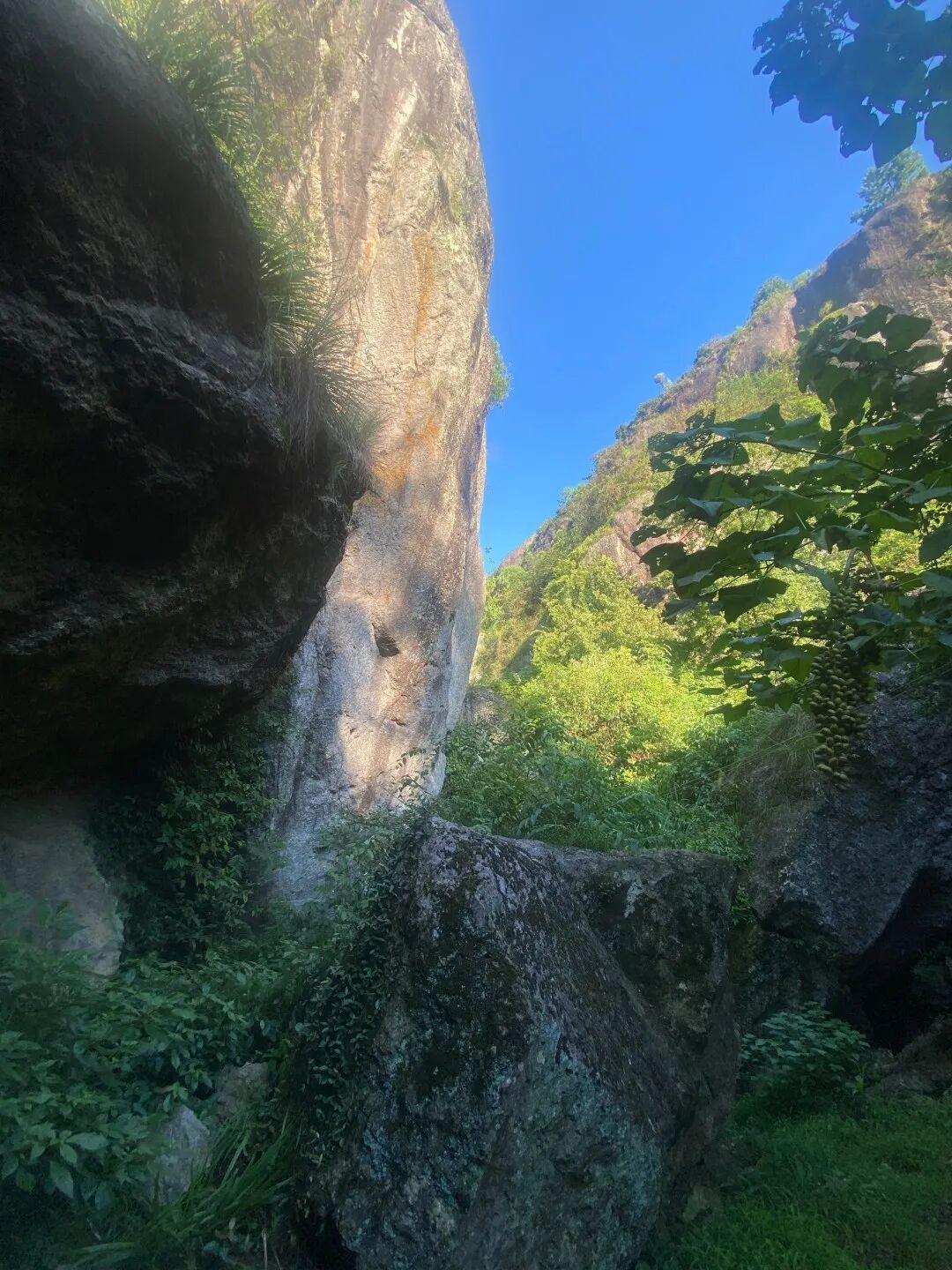 仙居下各镇隐仙寺：古寺禅影里的 “叙事结界”(图14)