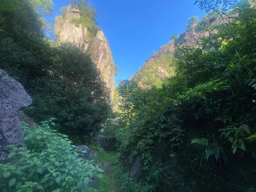 仙居下各镇隐仙寺：古寺禅影里的 “叙事结界”(图16)