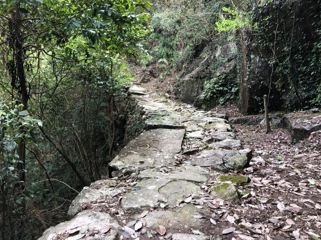 三门龙母山：山海褶皱里的“视听秘境”(图1)