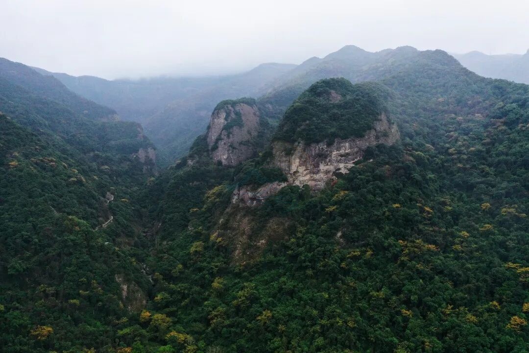 三门龙母山：山海褶皱里的“视听秘境”(图4)