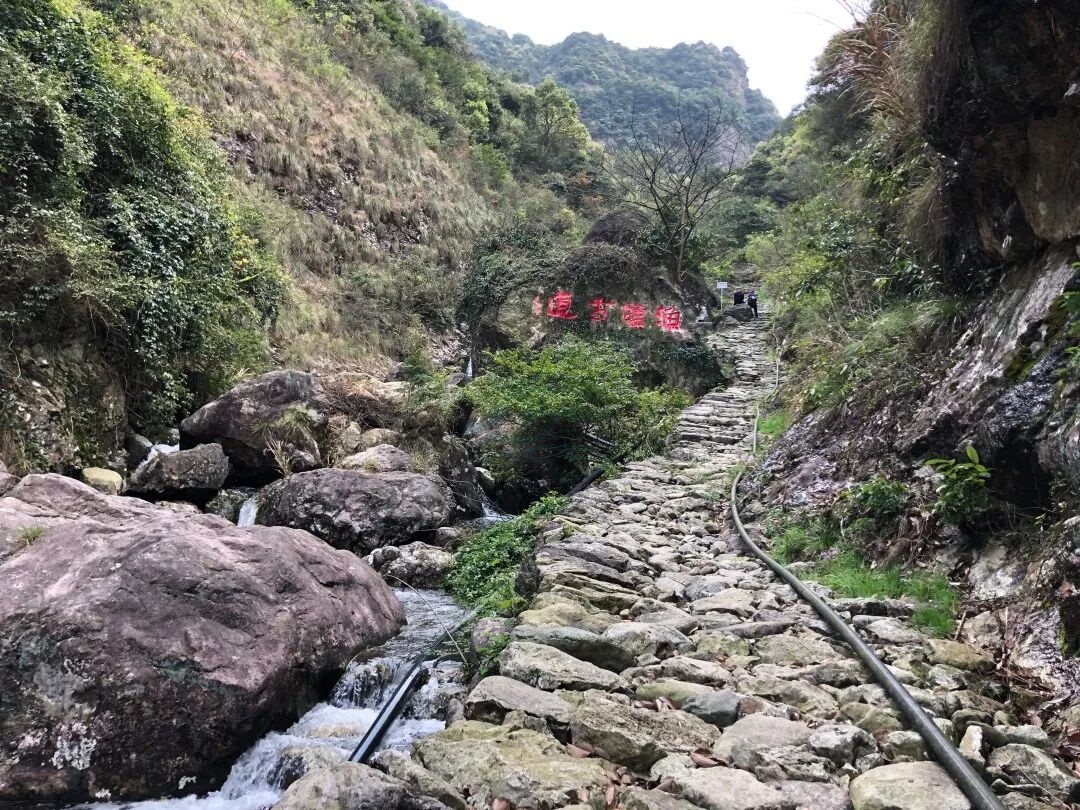 三门龙母山：山海褶皱里的“视听秘境”(图2)