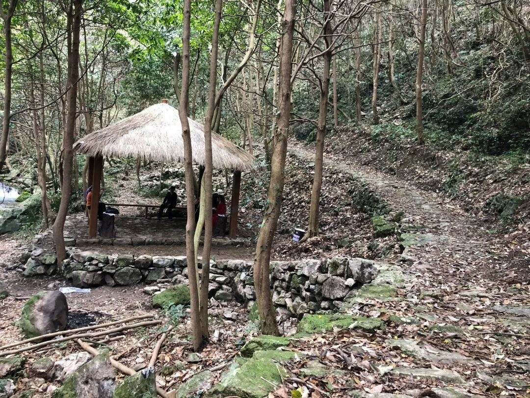 三门龙母山：山海褶皱里的“视听秘境”(图5)