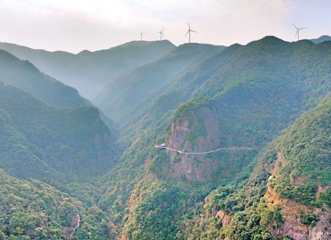 三门龙母山：山海褶皱里的“视听秘境”(图6)