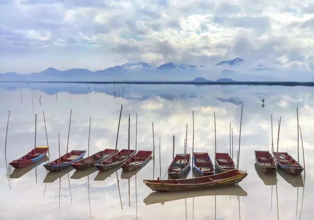 三门栅下S湾：潮滩褶皱里的“耕海片场”(图1)