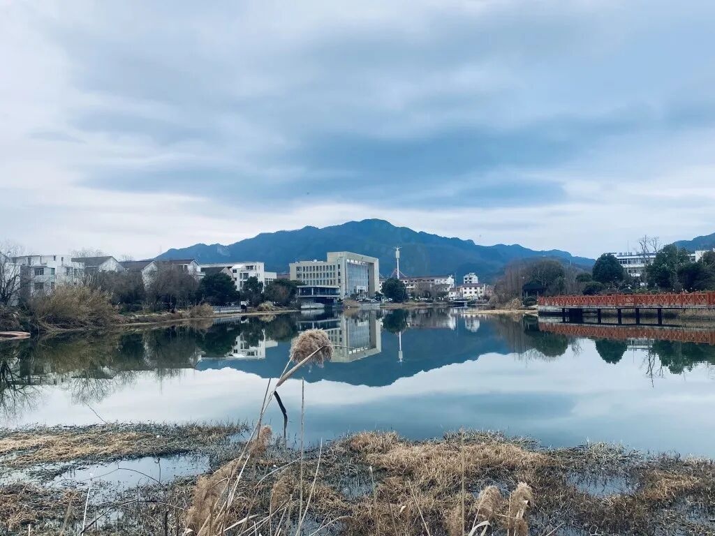 三门健跳老街：藏在市井里的“生活影视棚”(图3)