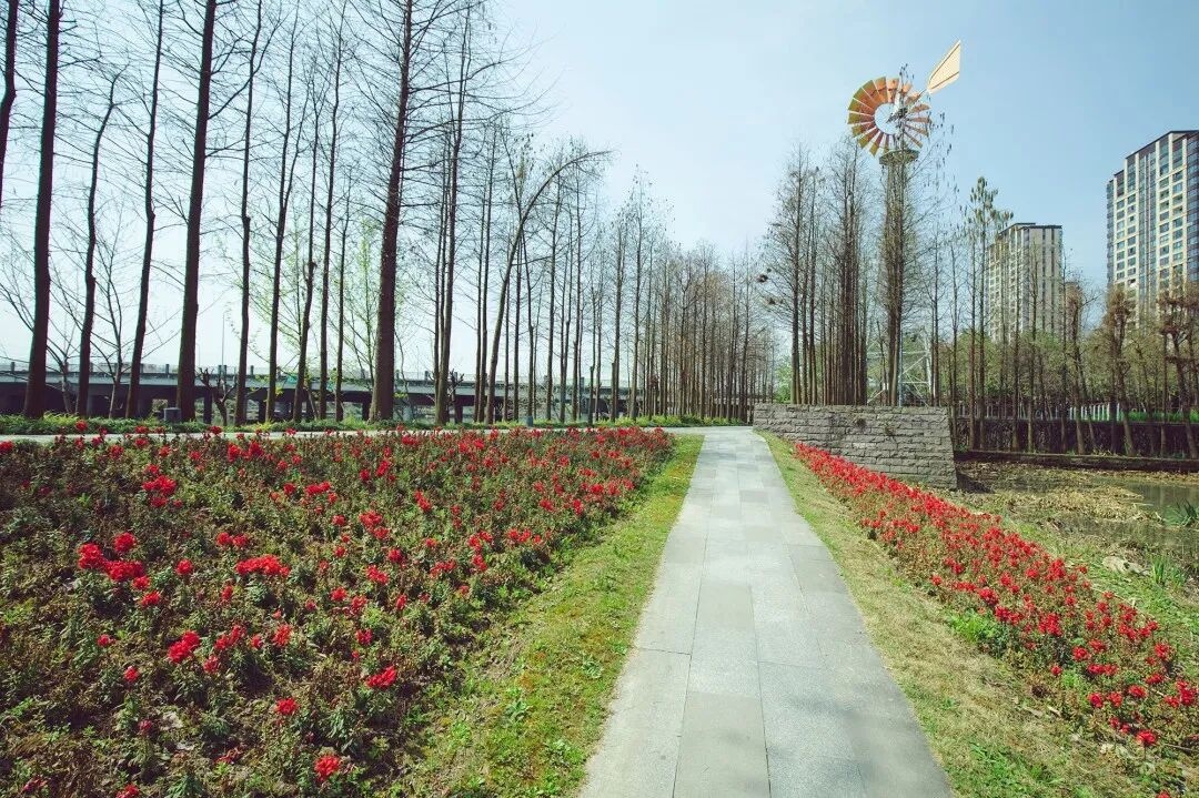 黄岩江北公园：都市里的自然诗画 四季流转的光影画布(图3)