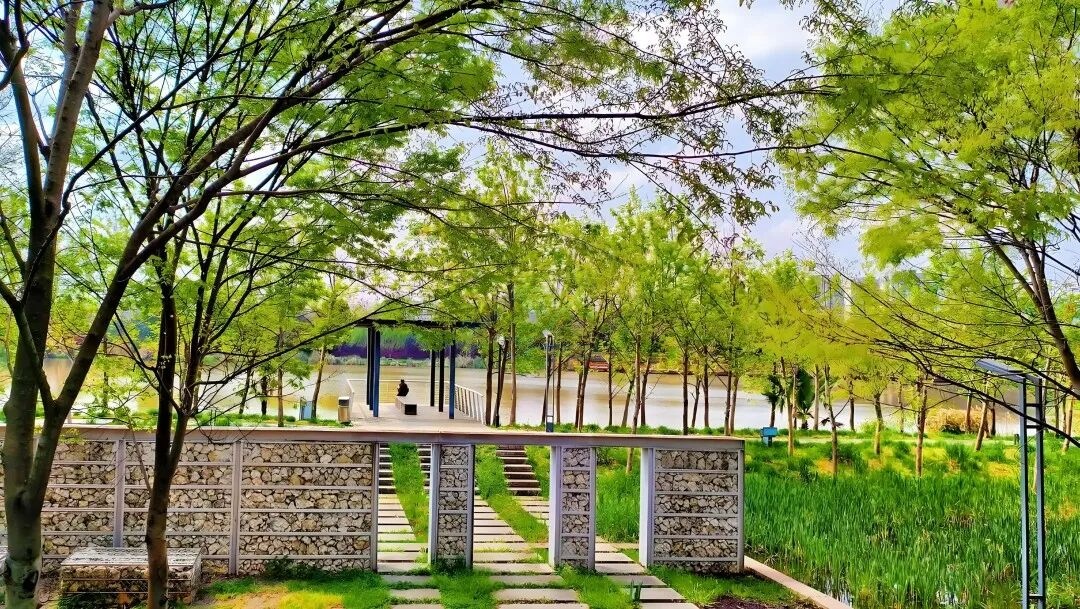 黄岩江北公园：都市里的自然诗画 四季流转的光影画布(图4)