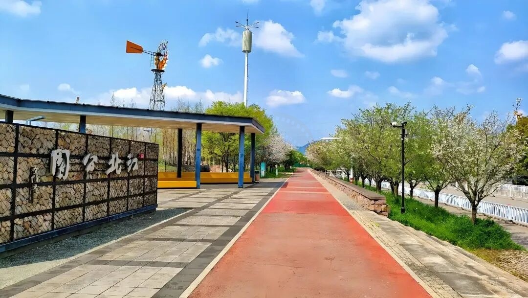 黄岩江北公园：都市里的自然诗画 四季流转的光影画布(图6)