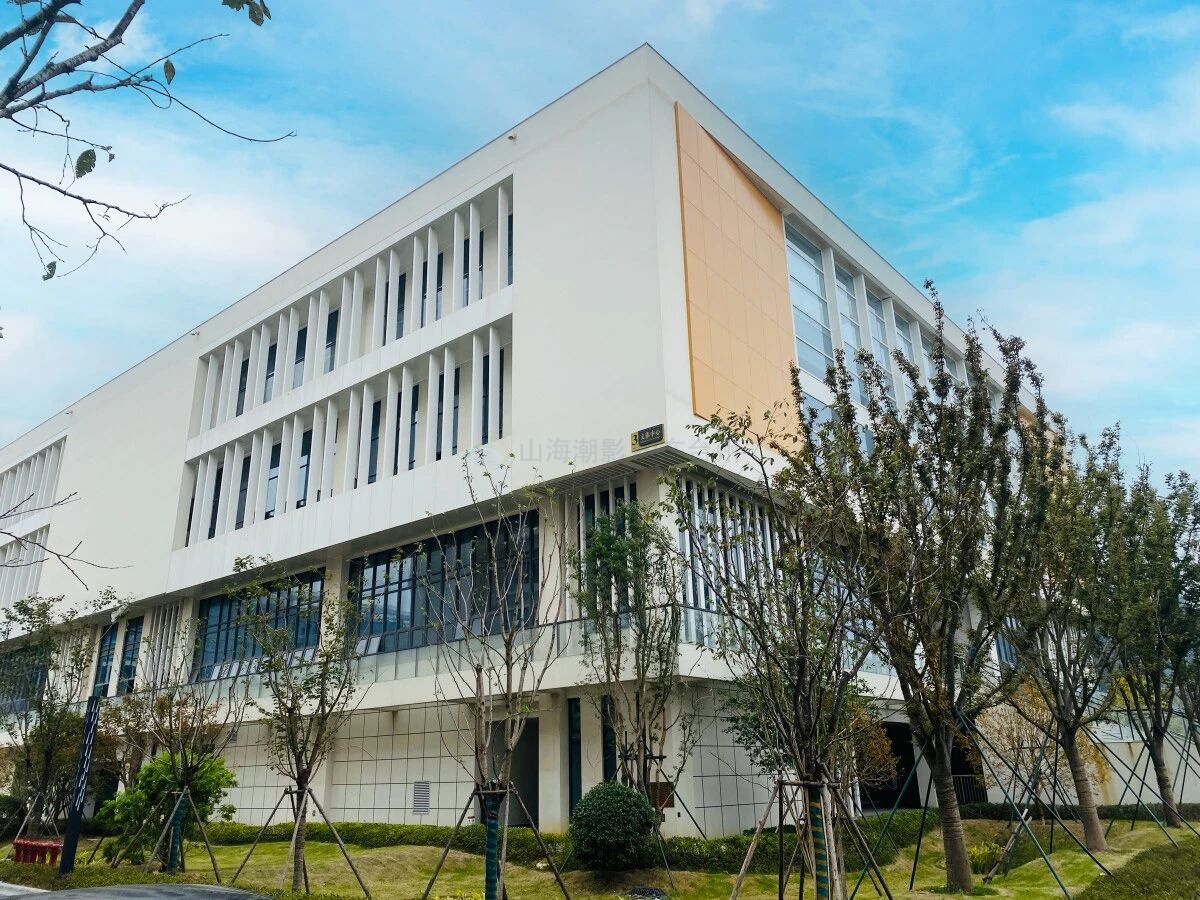 北影教授于丽带队考察台州湾新区，点赞影视外景基地发展潜力(图2)