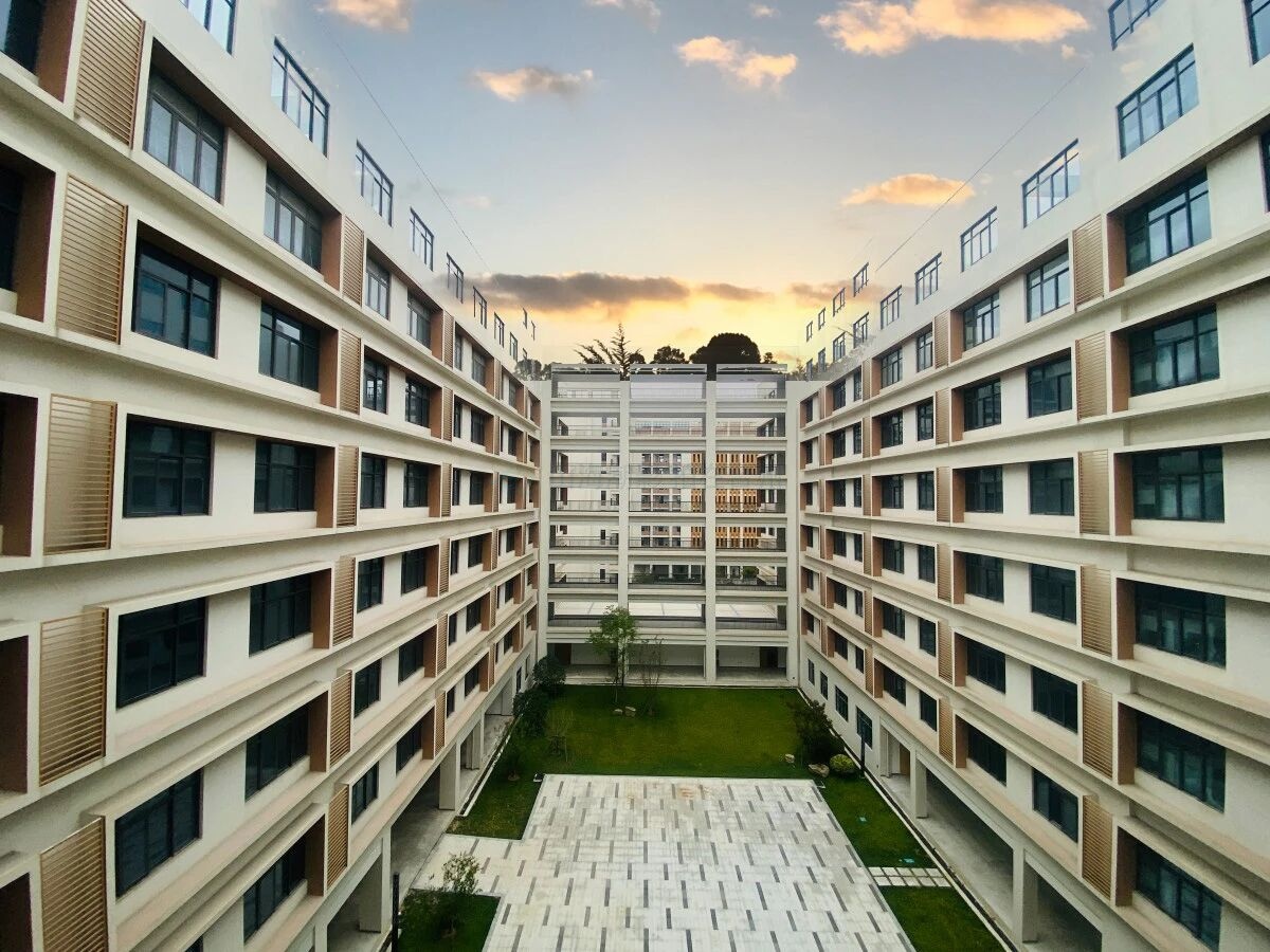 北影教授于丽带队考察台州湾新区，点赞影视外景基地发展潜力(图6)