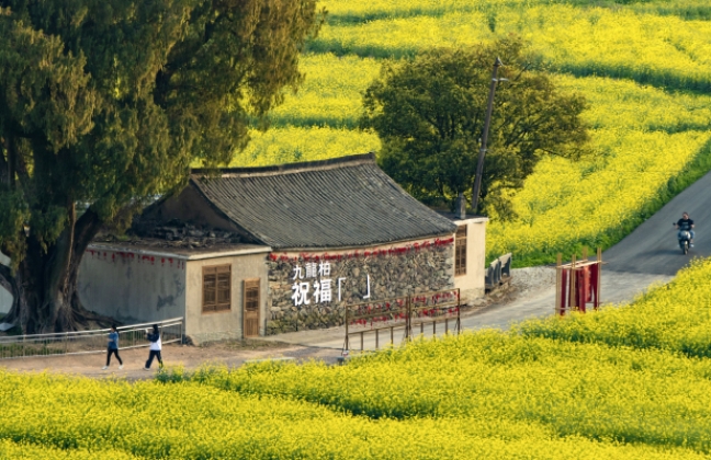 临海望溪谷：江南街道的 “溪谷双景” | 自然肌理赋能影视创作