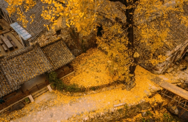 临海小芝胜坑古村：八百年石屋群落里的影视