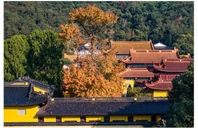 临海涌泉延恩寺：西晋古刹里的影视“历史与