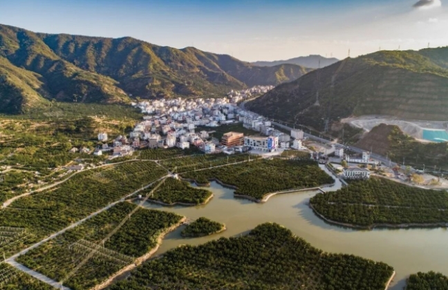 影视取景地推荐｜玉环垟根村：漫山文旦的田