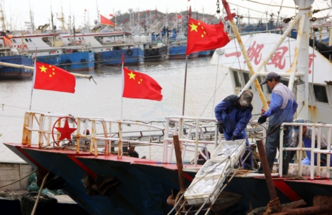 温岭城南犁头咀渔港：潮声浪影中的“海洋光