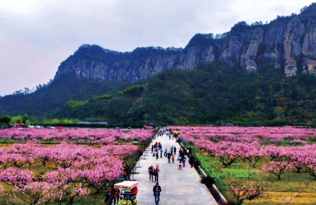 天台·后岸村：十里铁甲龙下的山水诗画影视外景地